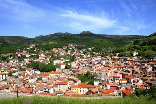 NOTIZIE DAL COMUNE