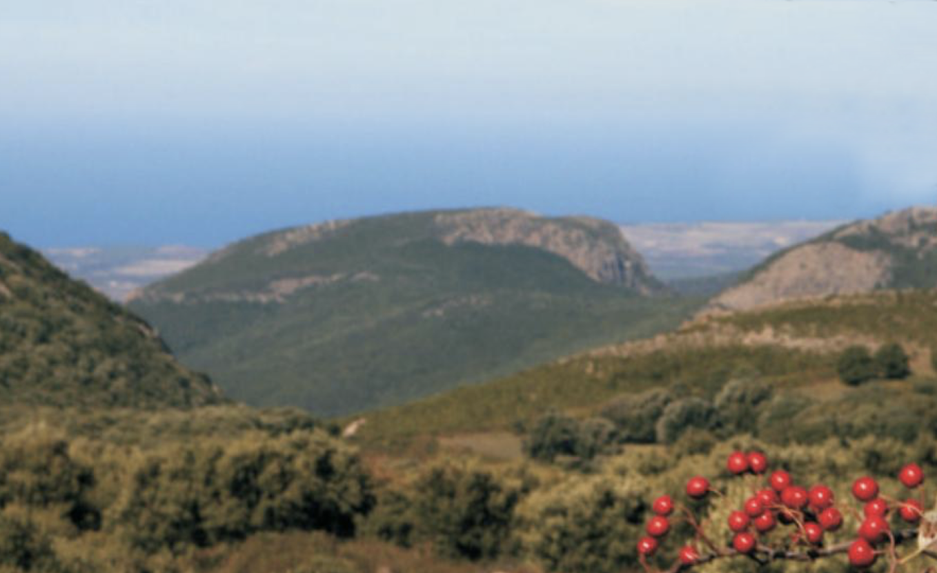 santu lussurgiu panorama