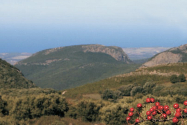 IL TERRITORIO