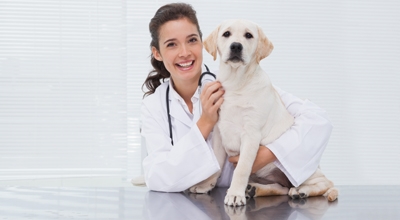 Giornata per l&rsquo;applicazione del microchip e iscrizione all&rsquo;anagrafe canina