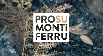 Fondi Ristori Incendi