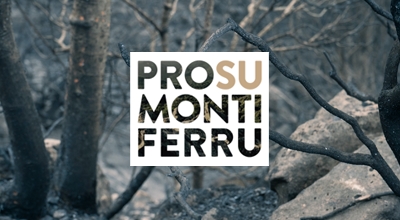 Interventi Post Incendio