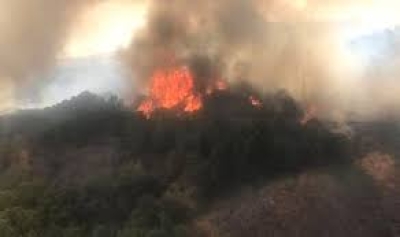 EMERGENZA INCENDI 2021 - AVVISO PUBBLICO PER LA CONCESSIONE DI CONTRIBUTI ECONOMICI AI SOGGETTI PRIVATI PER I DANNI OCCORSI AL PATRIMONIO EDILIZIO ABITATIVO, AI BENI MOBILI IVI UBICATI, AI BENI MOBILI REGISTRATI, ALLE ATTIVIT&Agrave; ECONOMICHE E PRODUTTIVE