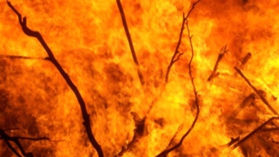 SOLIDARIET&Aacute; IN FAVORE DELLE COMUNIT&Aacute; COLPITE DAGLI INCENDI - RACCOLTA FORAGGIO