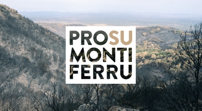 Proroga domande contributi a favore dei soggetti privati e delle attivit&agrave; economiche e produttive danneggiati dagli incendi dell&rsquo;oristanese nelle giornate dal 23 al 30 luglio 2021